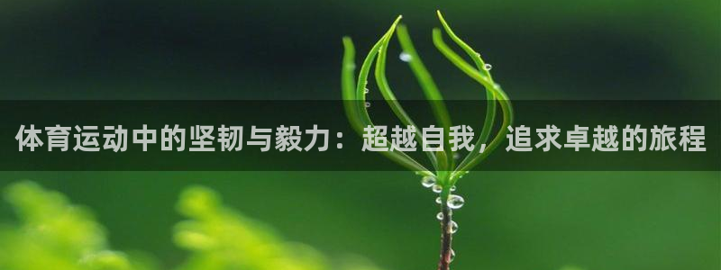 意昂23官网
