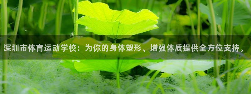 意昂包怎么样