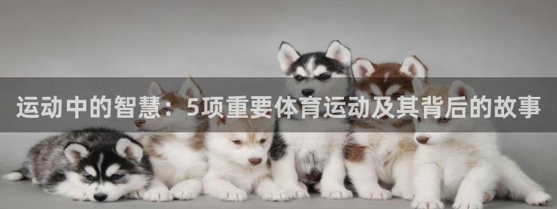 意昂2体育代理