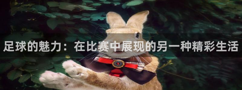 东莞市意昂电子科技有限公司