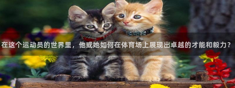 意昂2平台开户链接