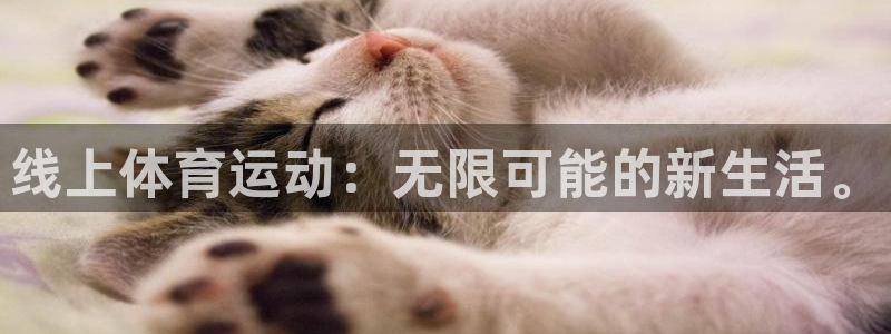 意昂23登陆