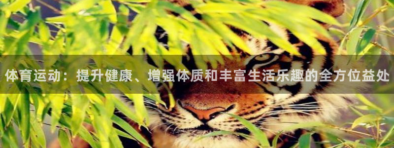 意昂2体育
