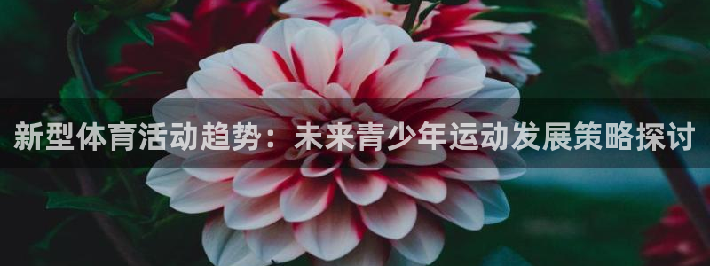 意昂2体育合法嘛