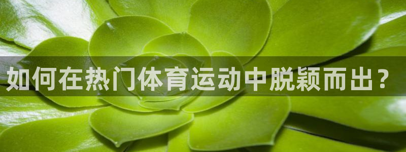 意昂平台